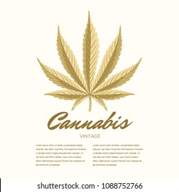Vintage Cannabis leaves. Vector Composition - Copy Space