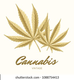 Vintage Cannabis leaves. Vector Composition - Copy Space