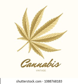 Vintage Cannabis leaves. Vector Composition - Copy Space