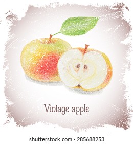 Vintage card with apple drawn by color pencils.