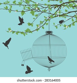 Vintage Card With Birds And Open Birdcage