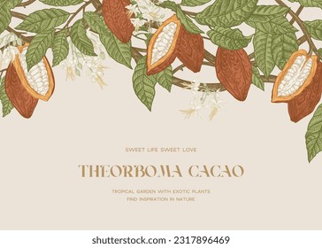 Vintage card with cocoa. Border with fruits, flowers, leaves. Vector botanical illustration. Colorful.