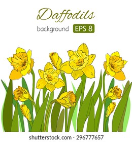 Vintage card with cute daffodils on white background