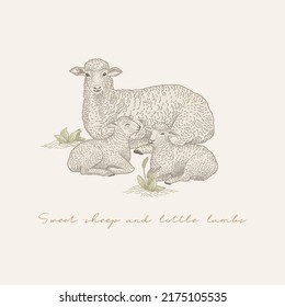 Vintage card with a cute sheep and little lambs. Vector illustration.