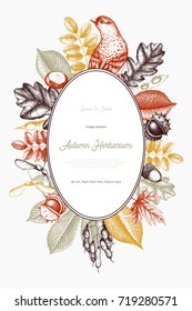 Vintage card design with bird. Hand drawn leaves and seeds illustration. Vector autumn template. Wedding invitation. 