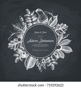 Vintage card design with bird on chalkboard. Hand drawn leaves and seeds illustration. Vector autumn template. Wedding invitation. 