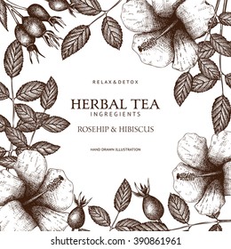 Vintage card design with herbal tea ingredients - hibiscus and dog rose. Vector background with ink hand drawn hibiscus and rose hips sketch. 