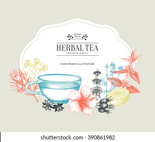 Vintage card design with herbal tea sketch collection. Vector template with hand drawn herbs and fruits illustration in pastel colors