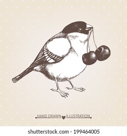 Vintage card design with ink hand drawn bullfinch bird with sweet cherry berry. Vector illustration.