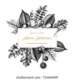 Vintage card design with snail. Hand drawn leaves and seeds illustration. Vector autumn template. Wedding invitation.