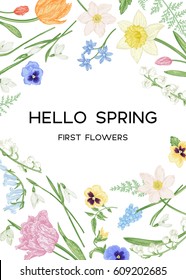 Vintage card with the first spring flowers on a white background. Botanical illustration. Vector floral design elements. Pastel colors.