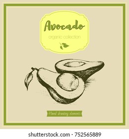 Vintage card image of avocado. Vector hand drawn sketch isolated illustrations