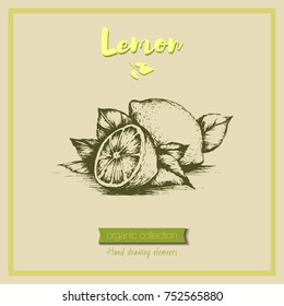 Vintage card image of lemon. Vector hand drawn sketch isolated illustrations
