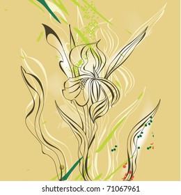 Vintage card with Iris flowers