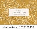 Vintage card with lily flowers. Floral wreath. Flower frame for flowershop with label designs. Summer floral lily greeting card. Flowers background for cosmetics packaging