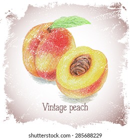 Vintage card with peach drawn by color pencils.