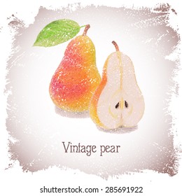 Vintage card with pear drawn by color pencils.