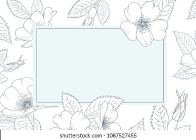 Vintage card template. Wild rose rosa canina flowers line design detailed drawing. Rectangular border frame decoration. Blue outline on white background. Placeholder for text. Vector illustration.