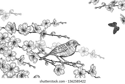 Vintage card. Vector illustration of spring nature. Floral background. Branches of a Japanese cherry tree, bird and butterflies. Black and white.