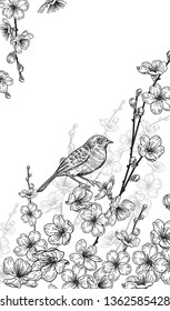 Vintage card. Vector illustration of spring nature. Floral background. Branches of a Japanese cherry tree and bird. Black and white.