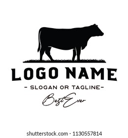 Vintage Cattle / Beef logo design inspiration vector