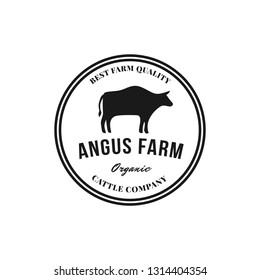Vintage Cattle / Beef logo design inspiration vector