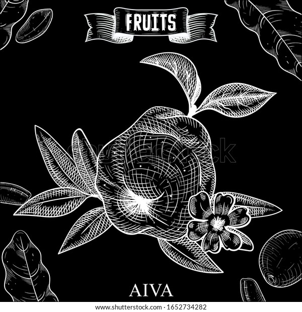 Vintage Chalk Hand Drawn Vector Illustration Stock Vector (Royalty Free