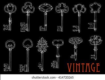 Vintage chalk sketches of ancient keys on blackboard with decorative bows, adorned by openwork flourishes. Engraving drawings of medieval skeleton keys for embellishment or tattoo design