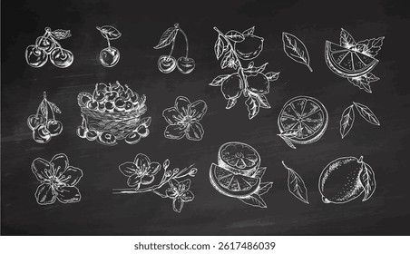 Vintage chalkboard-style set with hand drawn lemons, cherries, flowers and leaves. Monochrome engraved food and floral sketch, perfect for menu design, packaging and summer decor.

