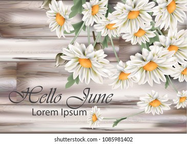 Vintage chamomile bouquet Vector. Spring floral decor on old grunge backgrounds