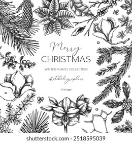 Vintage Christams card template. Minimalist style winter wedding invitation design. Conifer trees, winter flowers sketches. Hand-drawn botanical illustration. NOT AI generated