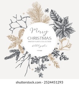 Vintage Christams card template. Winter holiday wreath design. Conifer trees, winter flowers sketches. Hand-drawn botanical illustration. NOT AI generated
