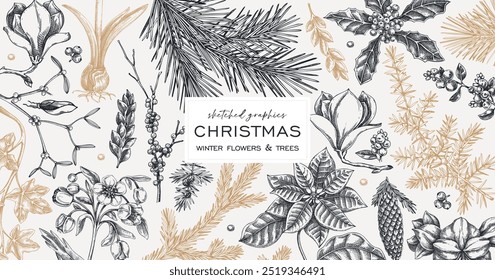 Vintage Christmas banner design. Winter plants background. Conifer trees, winter flowers, berry sketches. Hand drawn vector illustration. NOT AI generated