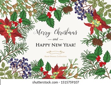 Vintage Christmas card. Hand drawn branches of poinsettia, holly tree, pine, cypress and elderberry. Vector illustration. Colorful engraving style.