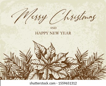 Vintage Christmas greeting card with fir branches and poinsettia flower. Decorative background for Christmas and new year. Hand drawn vector illustration.