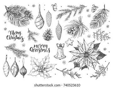 Vintage Christmas vector illustration. Set of hand drawn elements: toys, conifers, winter's flowers and cones. Handwritten calligraphic inscriptions Merry Christmas.