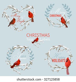 Vintage Christmas Winter Birds - Banners, Tags and Labels - in vector