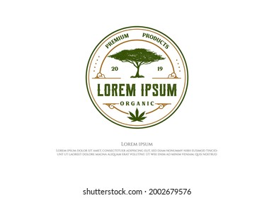 Vintage Circular Round Acacia Tree Badge Emblem For Marijuana Cannabis Hemp CBD Oil Logo Design Vector