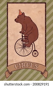 Vintage circus illustration, bear