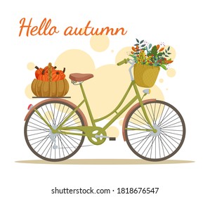 Vintage city bicycle with autumn bouquet and pumpkins in the basket. Hello Autumn. Vector illustration isolated on white background. 