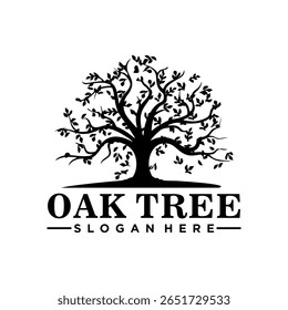 vintage classic oak tree label logo design vector illustration
