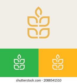 Vintage classic wheat grain logo design concept. Agriculture farm logomark illustration. Can representing plant, vegan, food, harvest, health, bread, cereal.