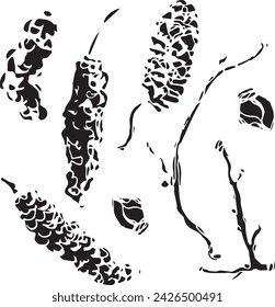 Primer plano vintage de un árbol de abedul sobre un fondo blanco para el diseño de impresión. Esbozo realista dibujado a mano.