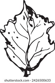 Primer plano vintage de un árbol de abedul sobre un fondo blanco para el diseño de impresión. Esbozo realista dibujado a mano.