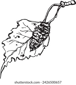 Primer plano vintage de un árbol de abedul sobre un fondo blanco para el diseño de impresión. Esbozo realista dibujado a mano.