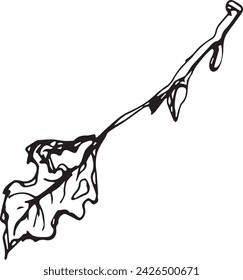 Primer plano vintage de un árbol de abedul sobre un fondo blanco para el diseño de impresión. Esbozo realista dibujado a mano.