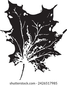 Primer plano vintage de un árbol de arce sobre un fondo blanco para el diseño de impresión. Dibujado a mano ilustración negra.