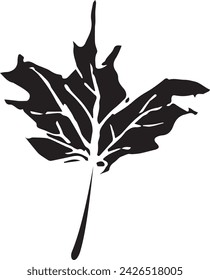 Primer plano vintage de un árbol de arce sobre un fondo blanco para el diseño de impresión. Dibujado a mano ilustración negra.