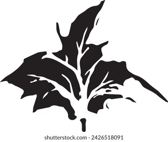 Vintage close-up drawing of a maple tree on a white background for print design. Hand drawn black illustration.
