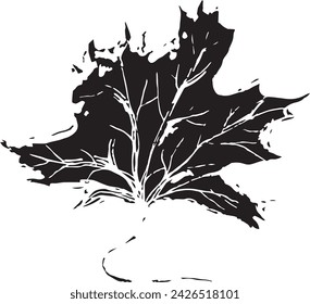 Vintage close-up drawing of a maple tree on a white background for print design. Hand drawn black illustration.